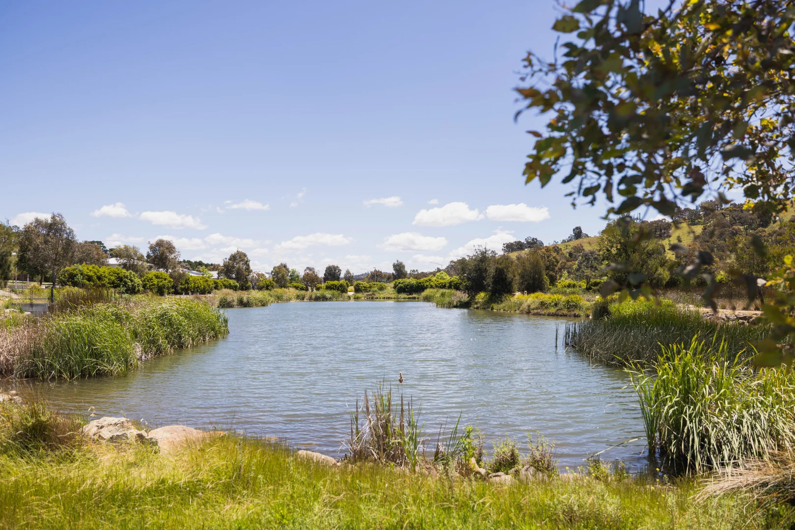 Additional image 15 of 16/50 Hillcrest Street, Crace ACT 2911