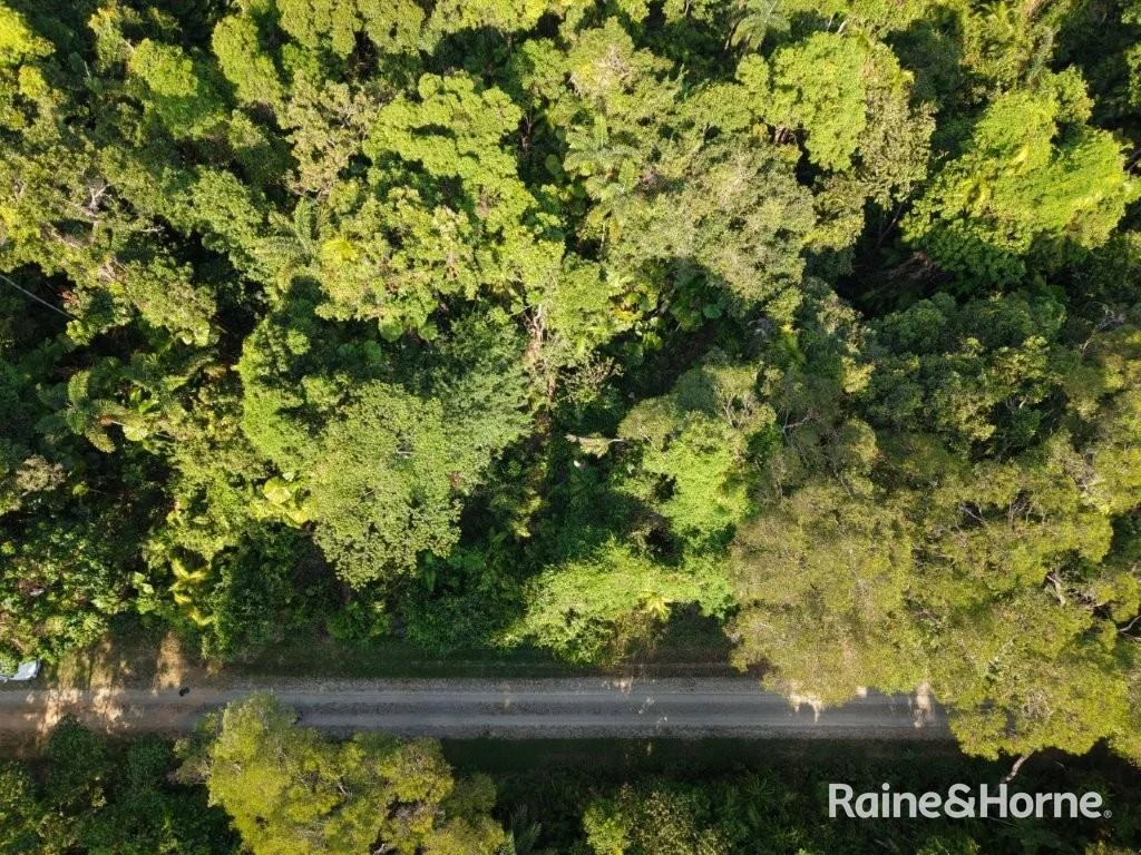 Additional image 26 of Lot 11 Milky Pine Road, Kimberley, Daintree QLD 4873