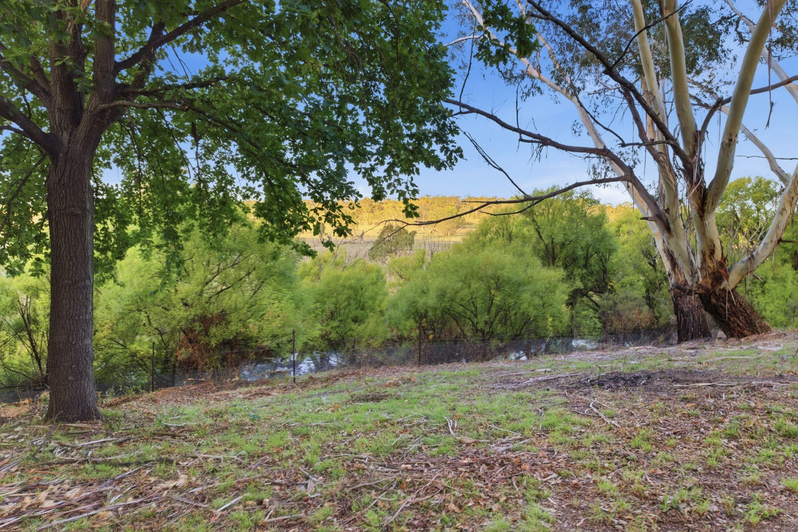 Additional image 22 of 733 Captains Flat Road, Carwoola NSW 2620