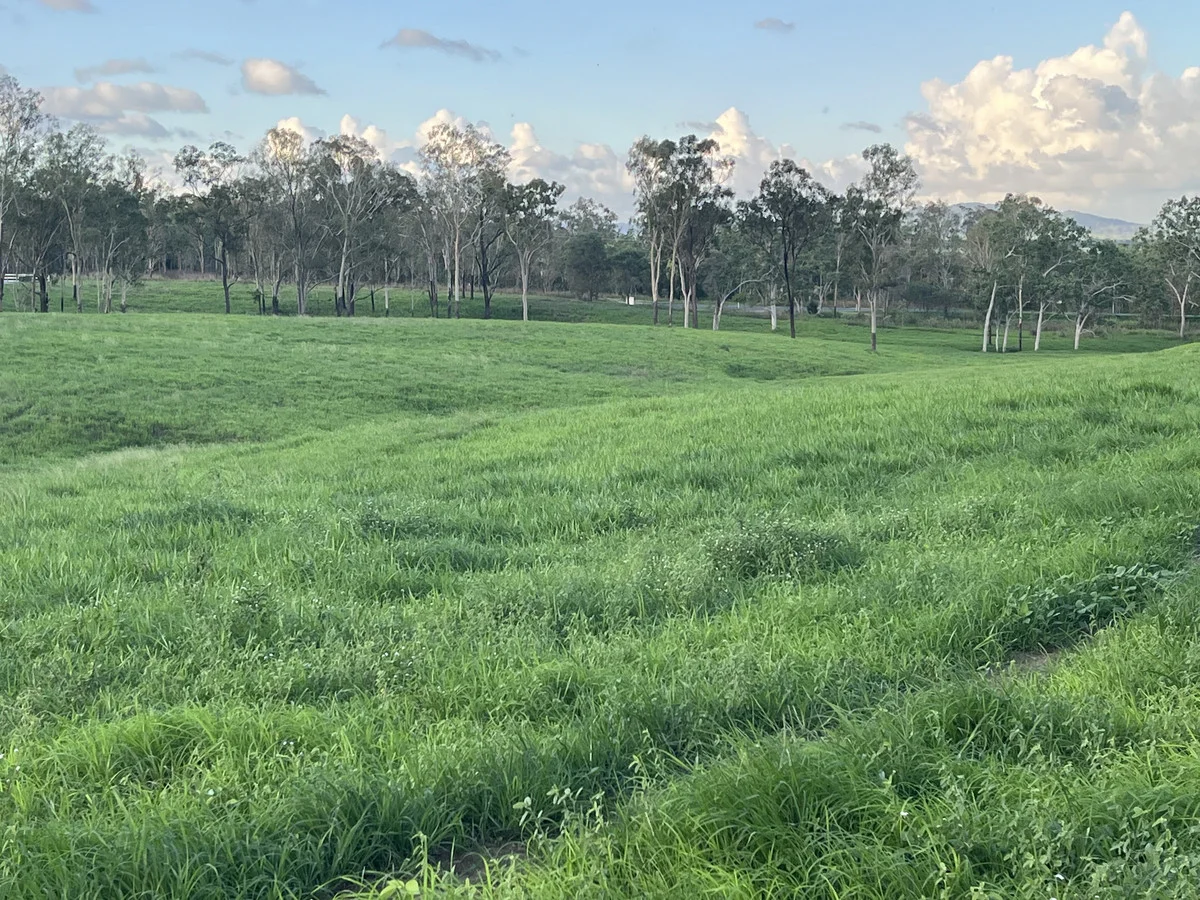 Additional image 5 of 23608 Peak Downs Highway, Eton QLD 4741