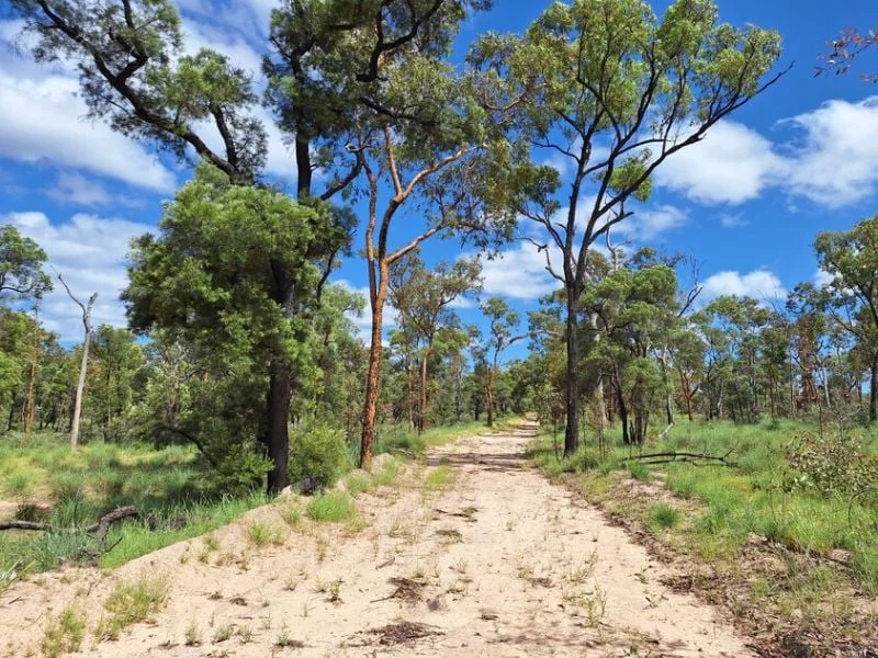 Additional image 17 of 6743 Dunrobin Road, Jericho QLD 4728