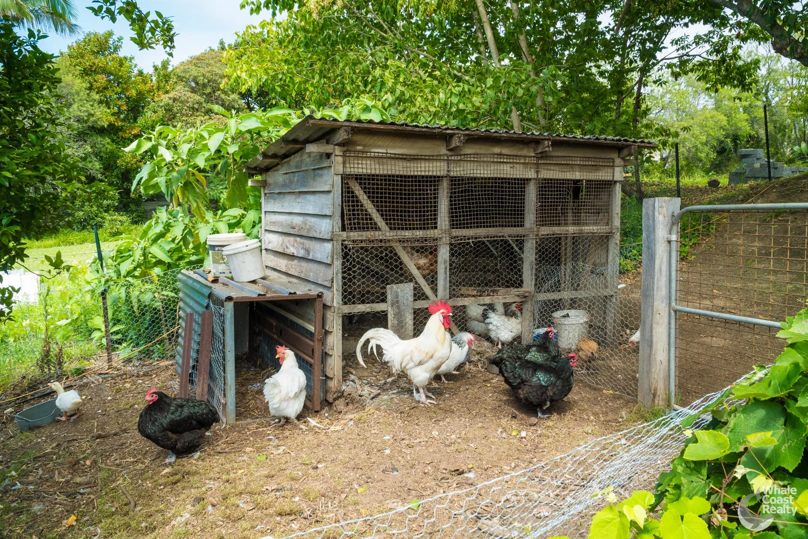 Additional image 29 of 108-110 Princes Highway, Bodalla NSW 2545