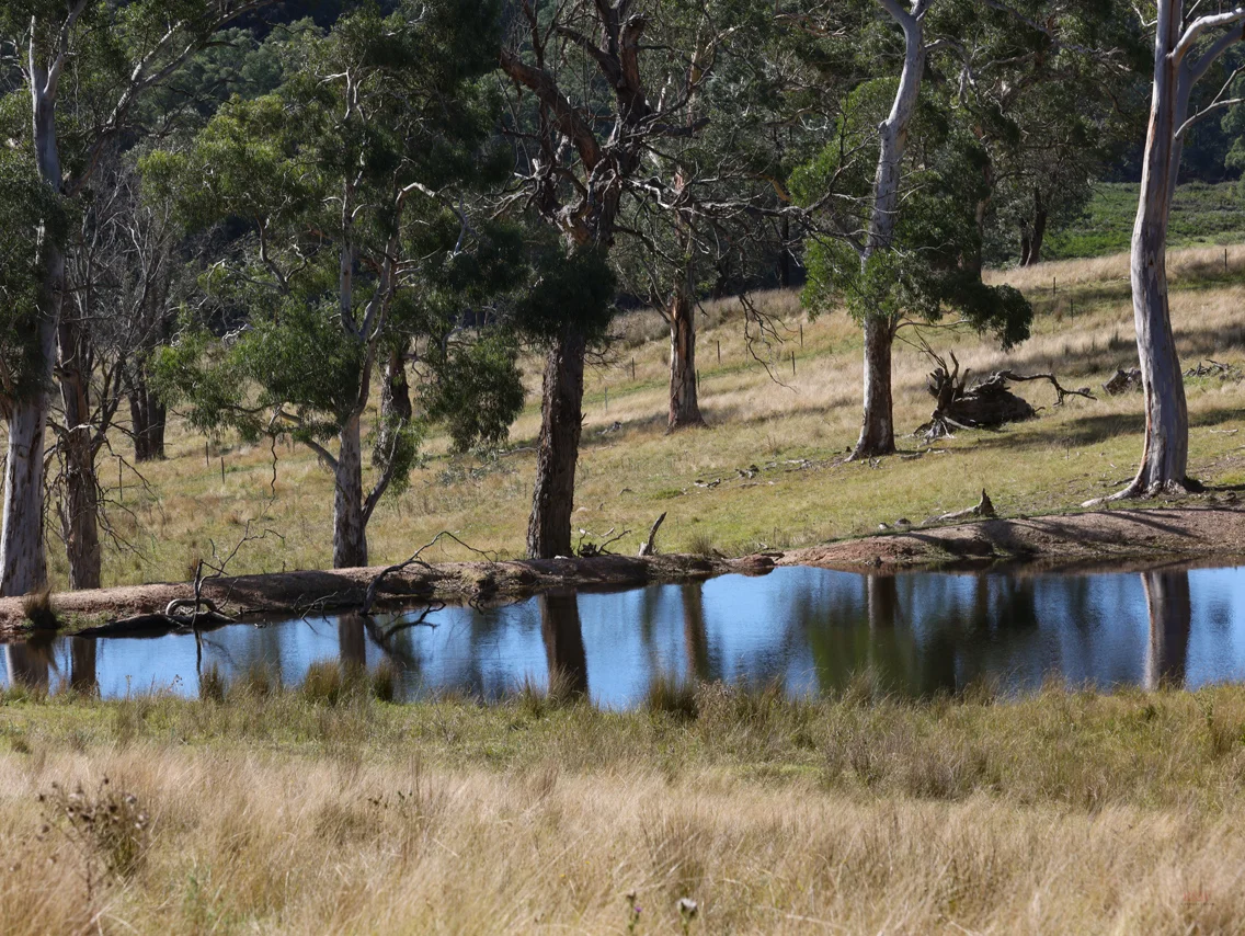 Additional image 17 of 710 Inverary Road, Paddys River NSW 2577