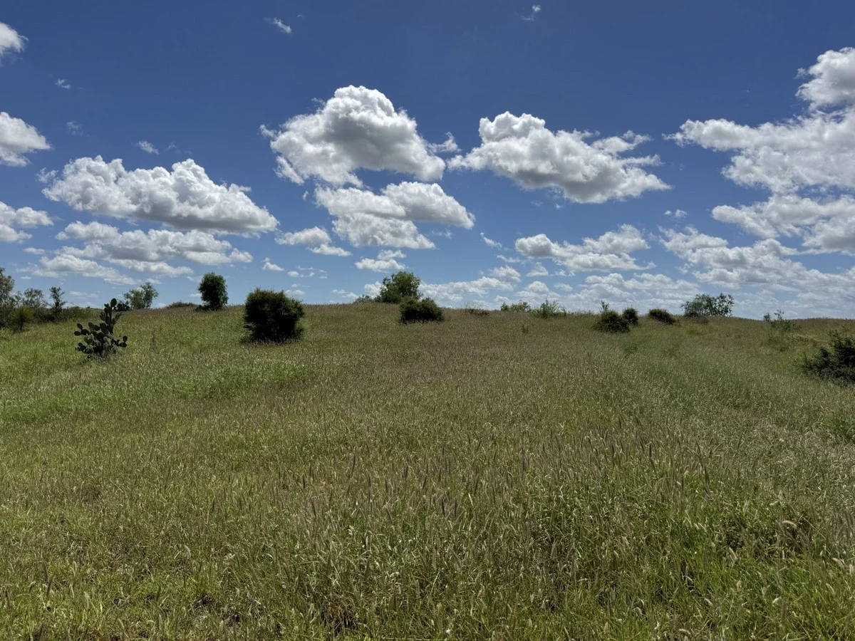 Additional image 2 of "Mustons" Frawleys Road, Thangool QLD 4716