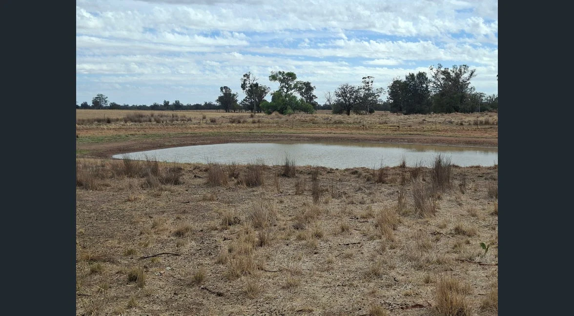 Additional image 32 of Alloway, Gilgandra NSW 2827