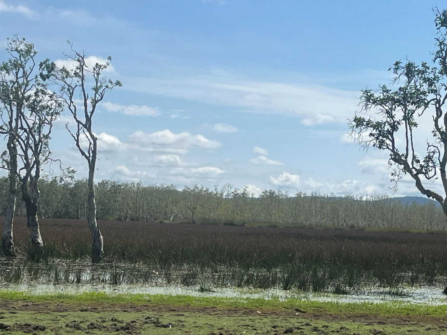 Additional image 30 of Blunder Park Station 382 Blunder Park Road, Ravenshoe QLD 4888