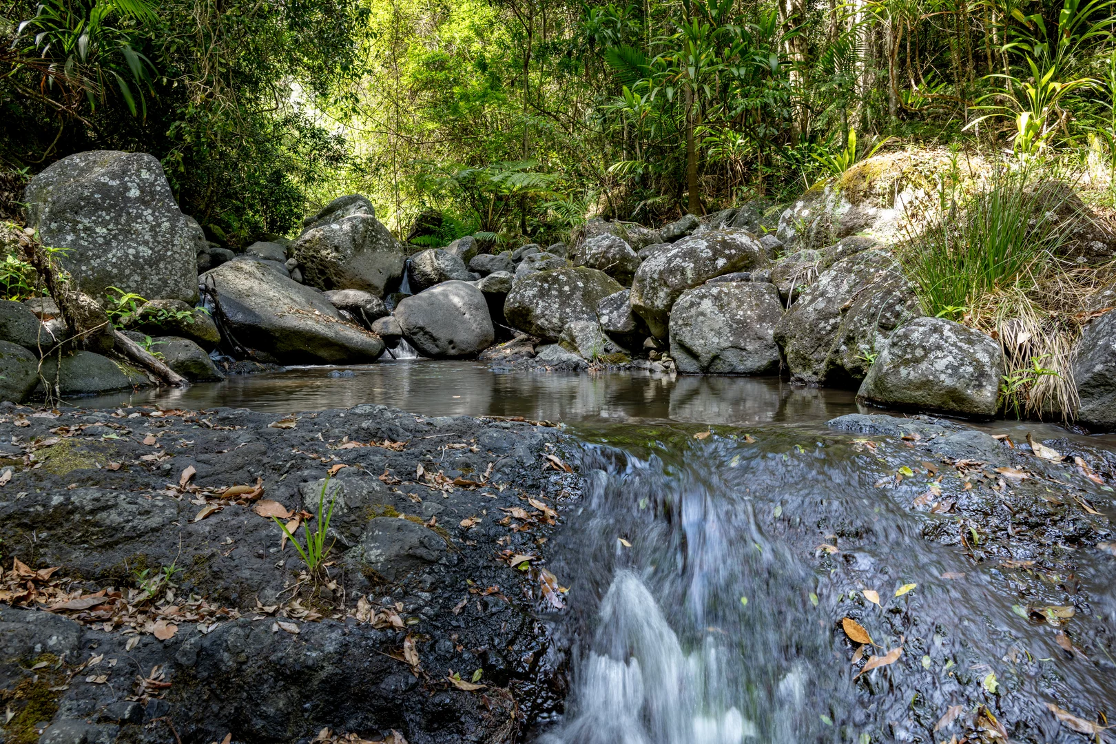 Additional image 32 of 3196 Christmas Creek Road, Lamington QLD 4285