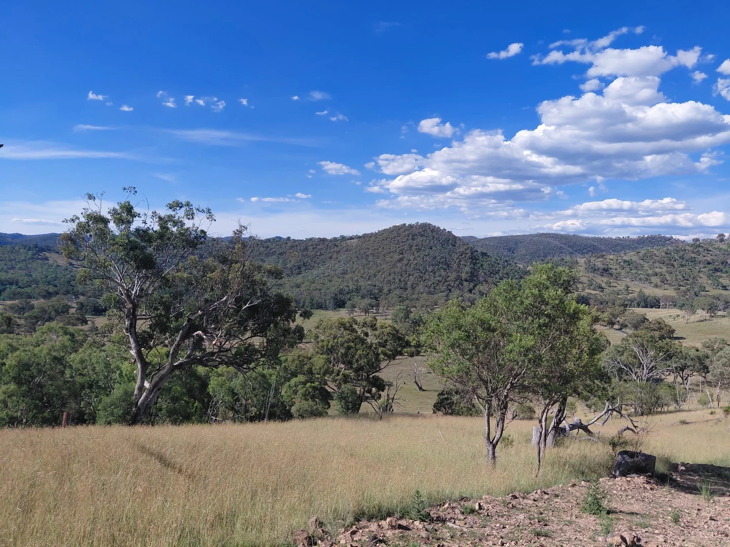 Additional image 3 of Lot 82 4108 Tent Hill Road, Emmaville NSW 2371