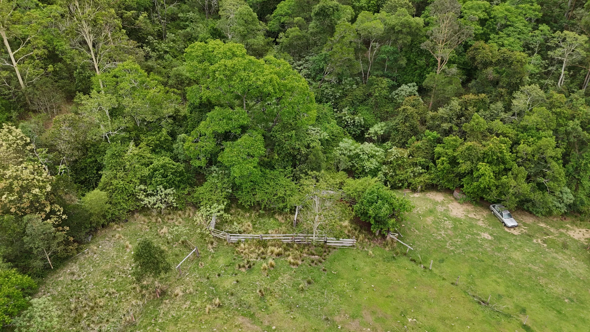 Additional image 10 of 350 Smiths Creek Rd, Lower Creek NSW 2440