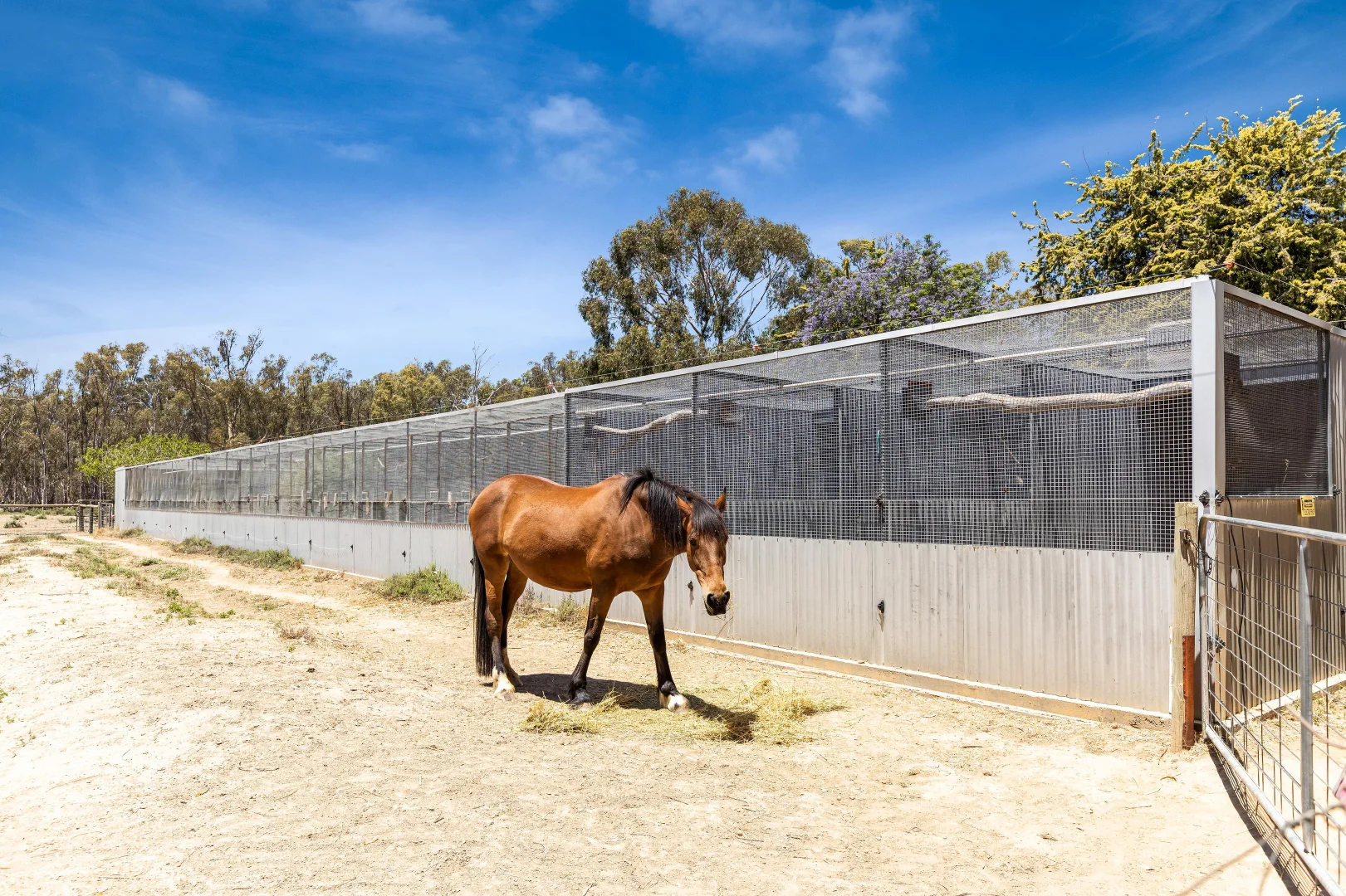 Additional image 16 of 43 Bower Crescent, Koondrook VIC 3580