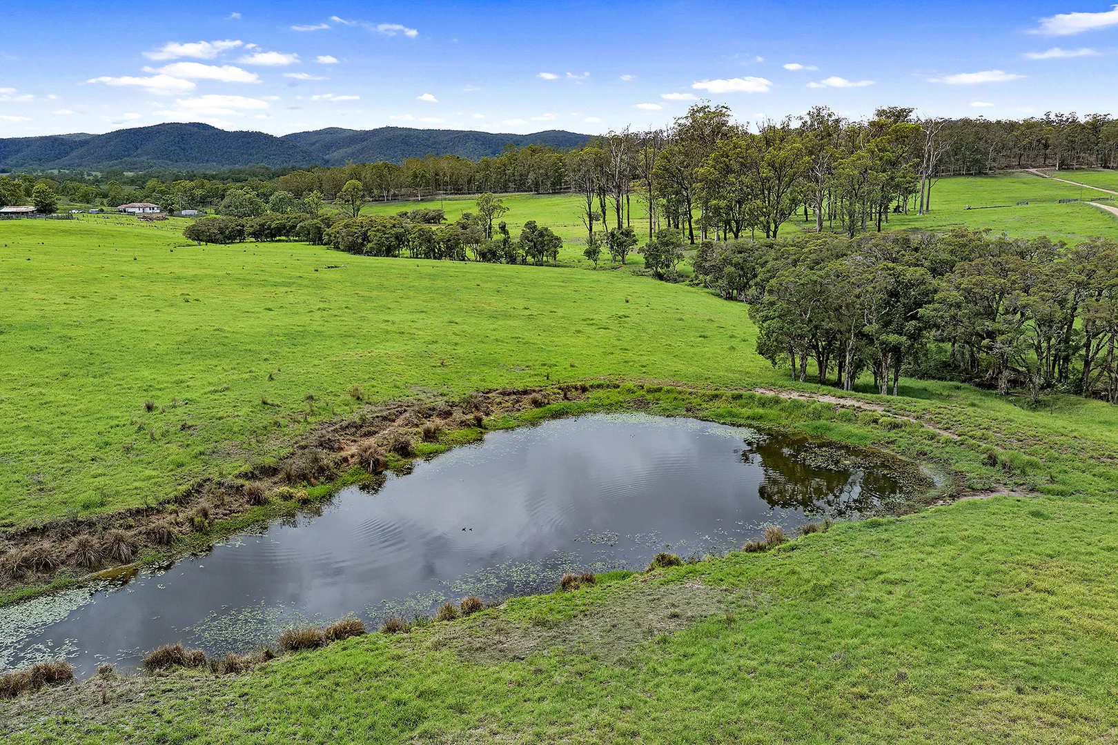 Additional image 10 of Lot 2 2135 The Bucketts Way, Wards River NSW 2422