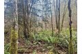 Additional image 4 of 298 Boone Rd, Toledo, WA, 98591