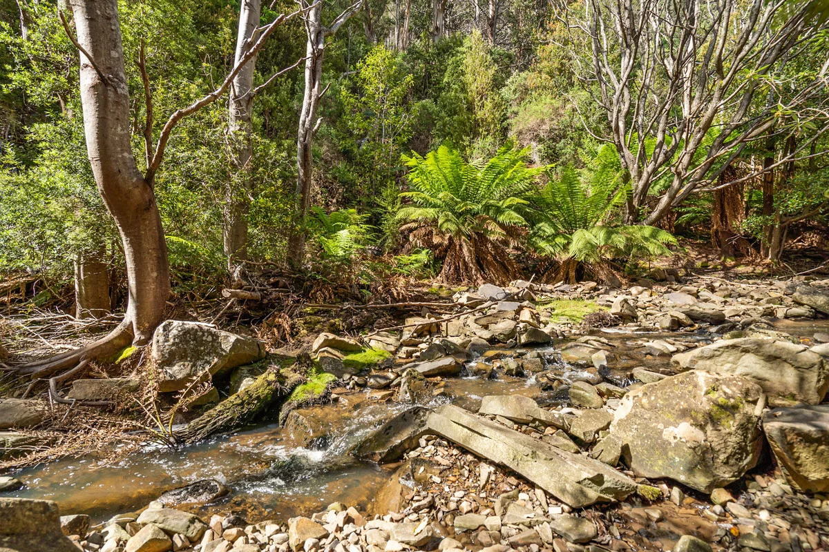Additional image 5 of 7 Kaoota Road, Kaoota TAS 7150