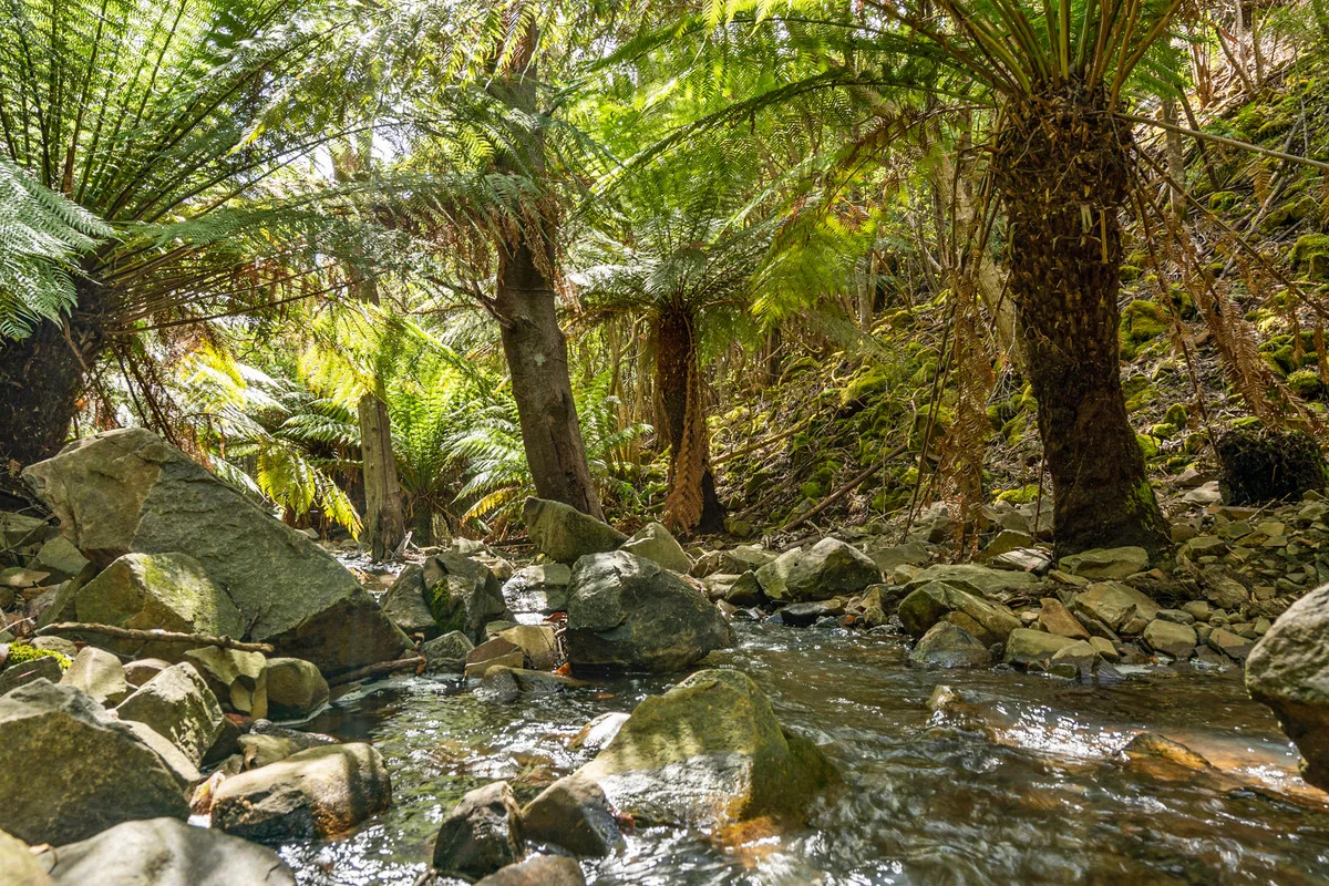 Additional image 8 of 7 Kaoota Road, Kaoota TAS 7150