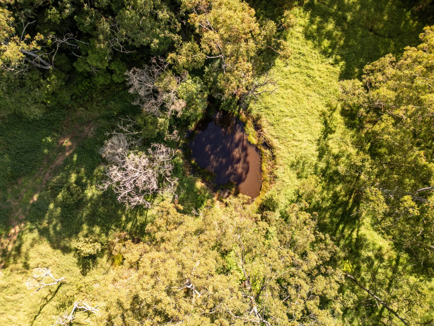 Additional image 4 of 618 Binna Burra Road, Beechmont QLD 4211