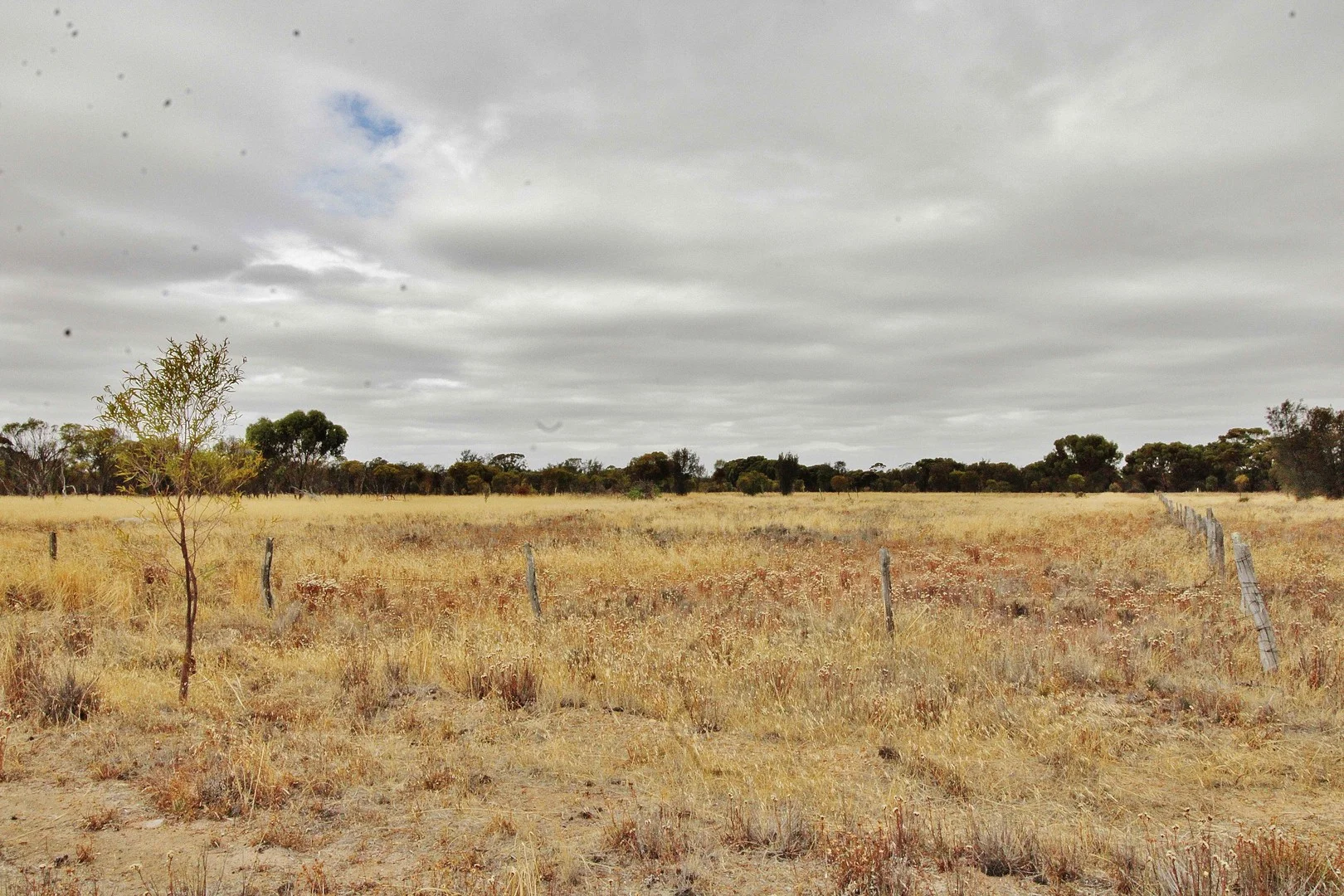 458 Vernal, Wagin WA 6315