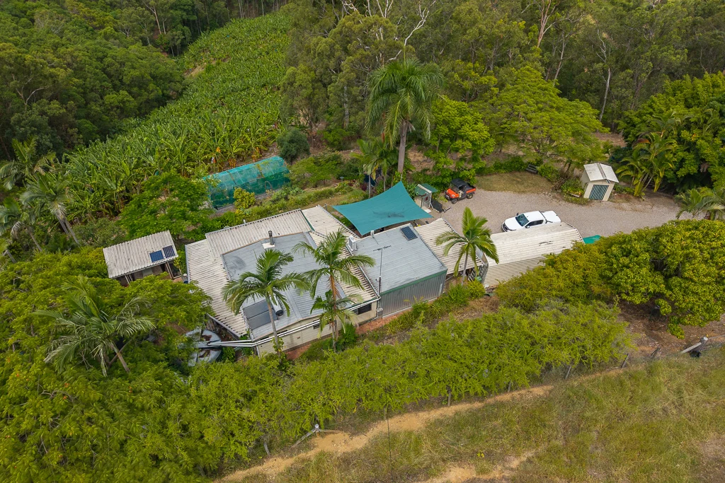 Additional image 13 of 349 Jackson Road, Wamuran QLD 4512