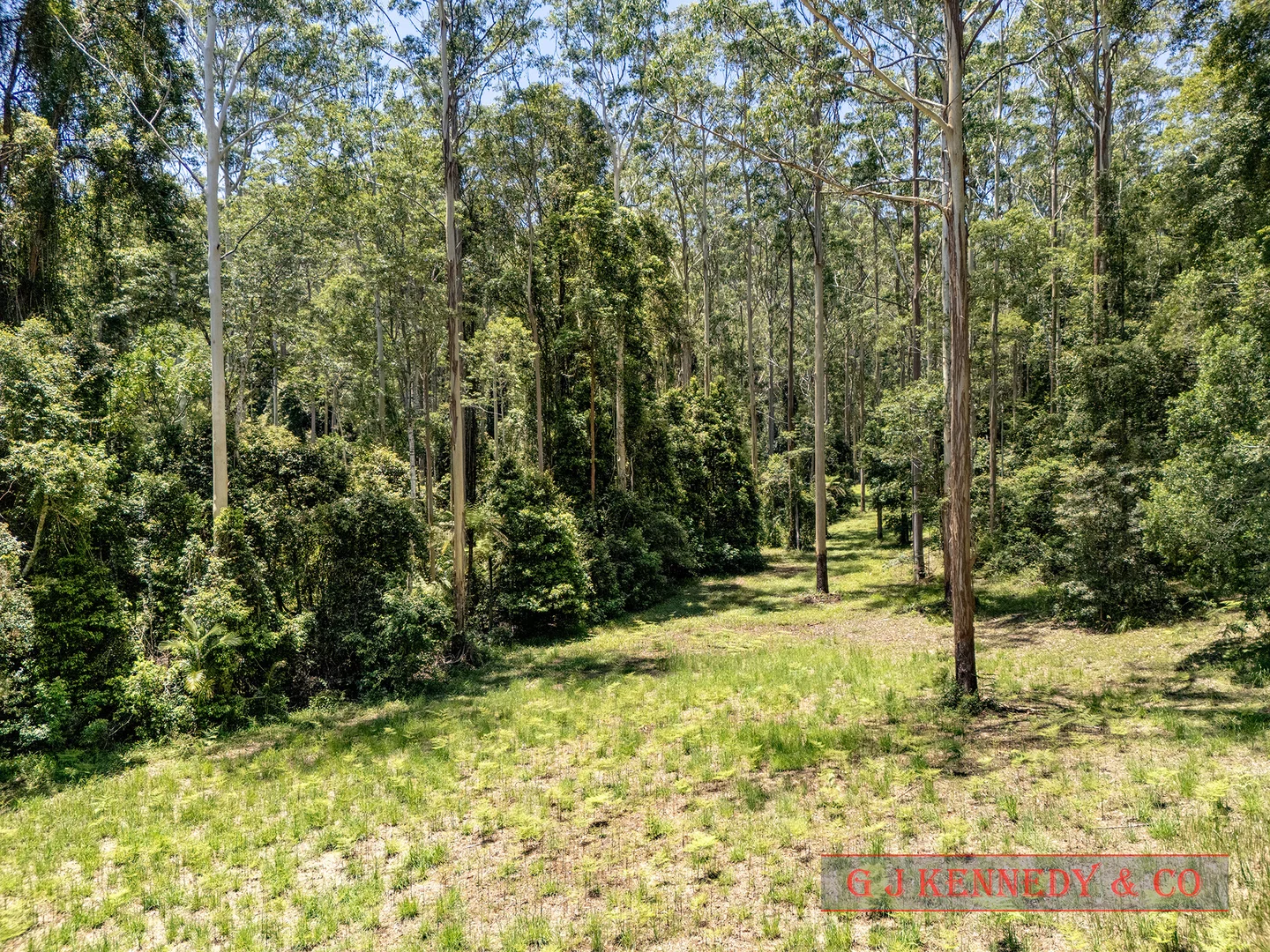 Additional image 21 of 695 Bellingen Rd, Missabotti NSW 2449