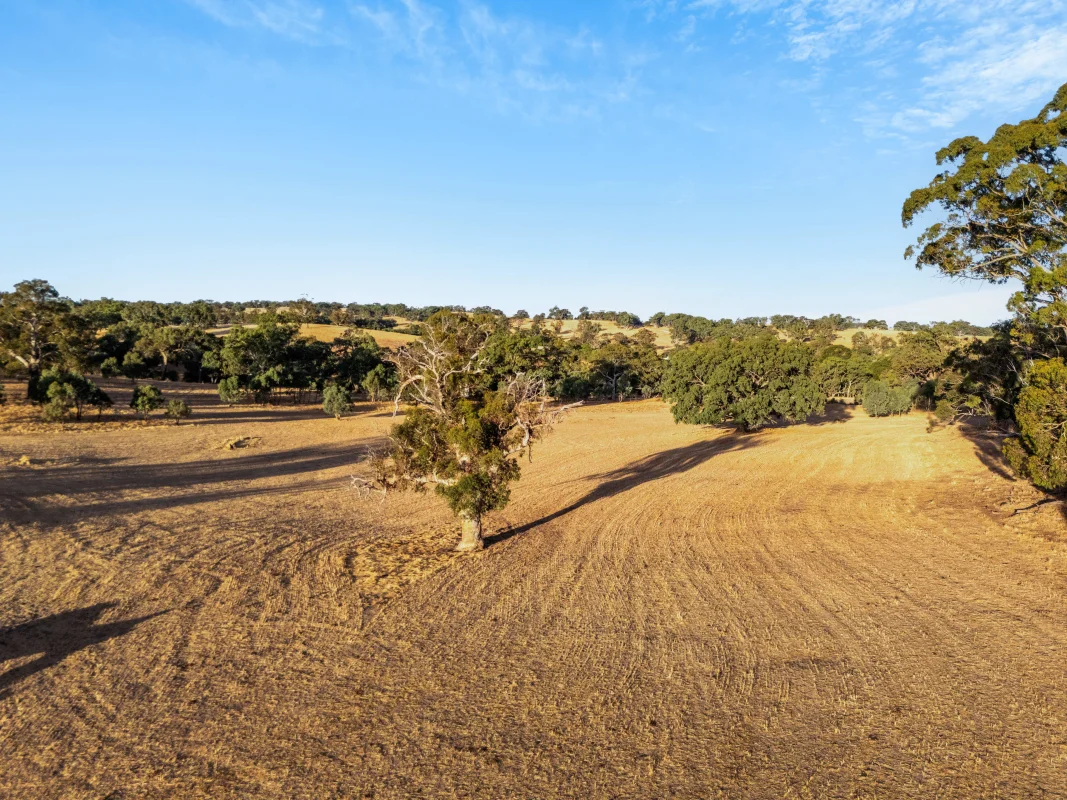 Additional image 27 of 249 Glen Devon Road, Mount Pleasant SA 5235