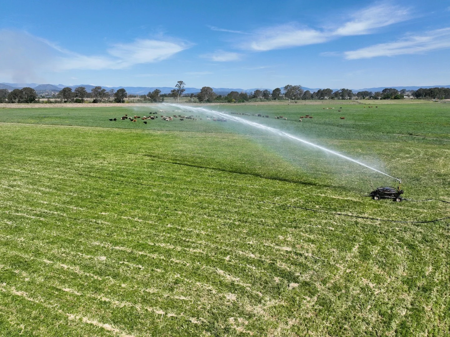 288 Round Mountain Road, Laravale QLD 4285