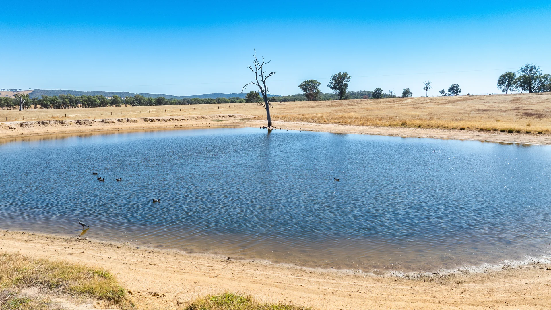 Additional image 27 of 175 Toveys Road, Chiltern VIC 3683