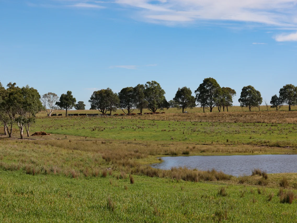 Additional image 16 of 710 Inverary Road, Paddys River NSW 2577