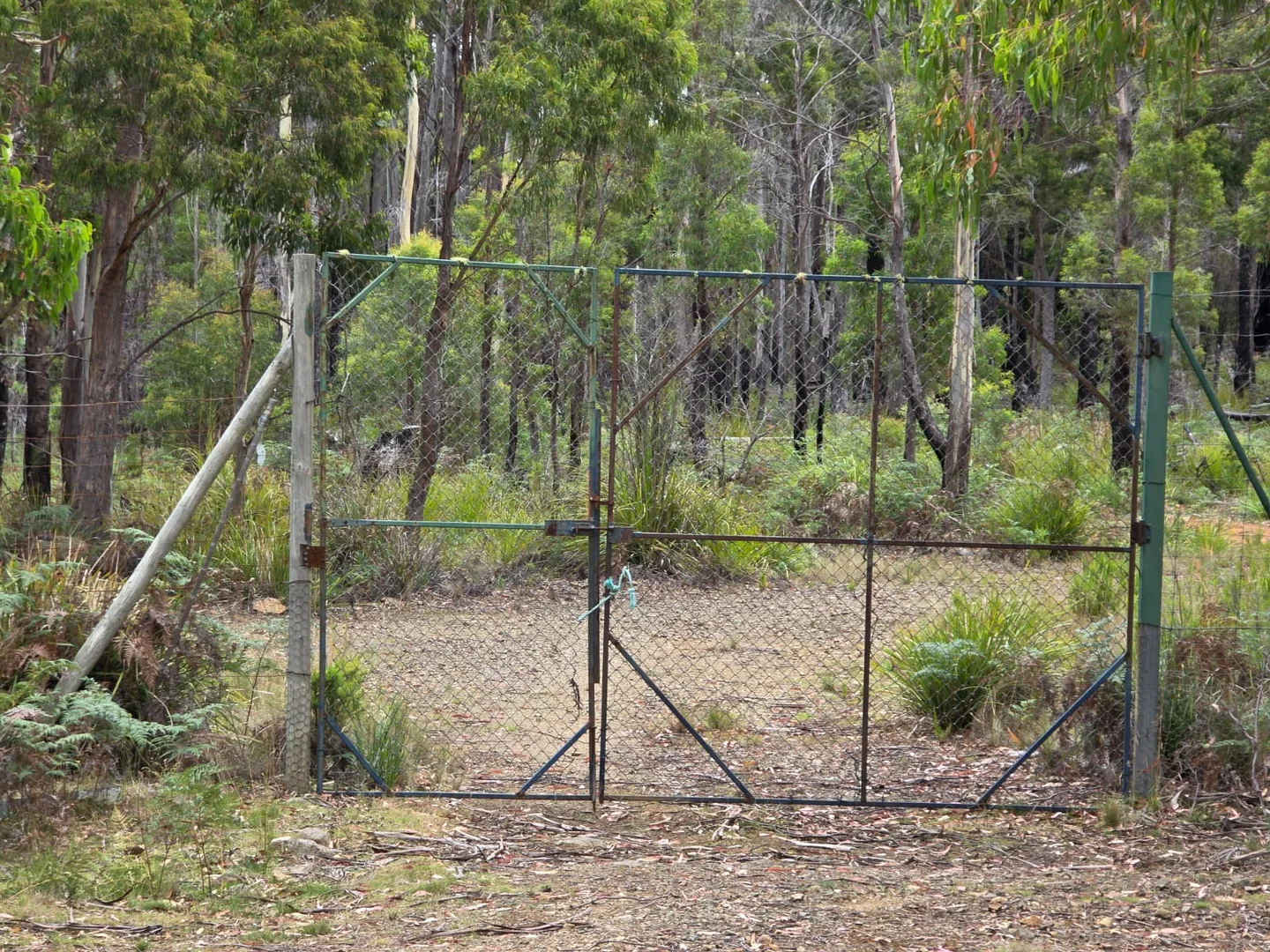 Additional image 27 of 7380 esk highway, St Marys TAS 7215