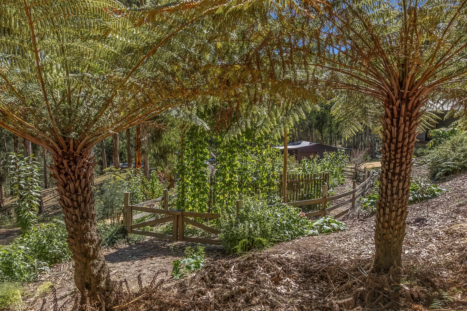 Additional image 24 of 680 Deans Marsh-Lorne Road, Pennyroyal VIC 3235