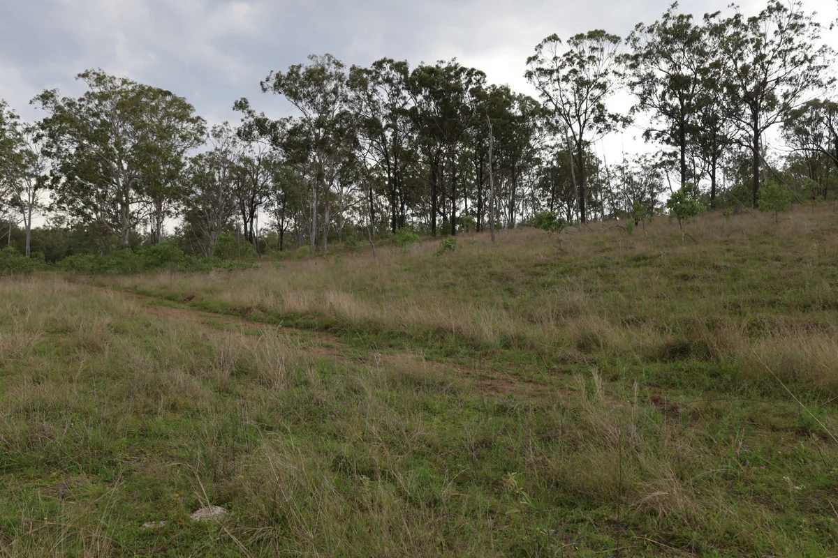 Additional image 7 of 479 Pine Mountain Creek Road, Monto QLD 4630