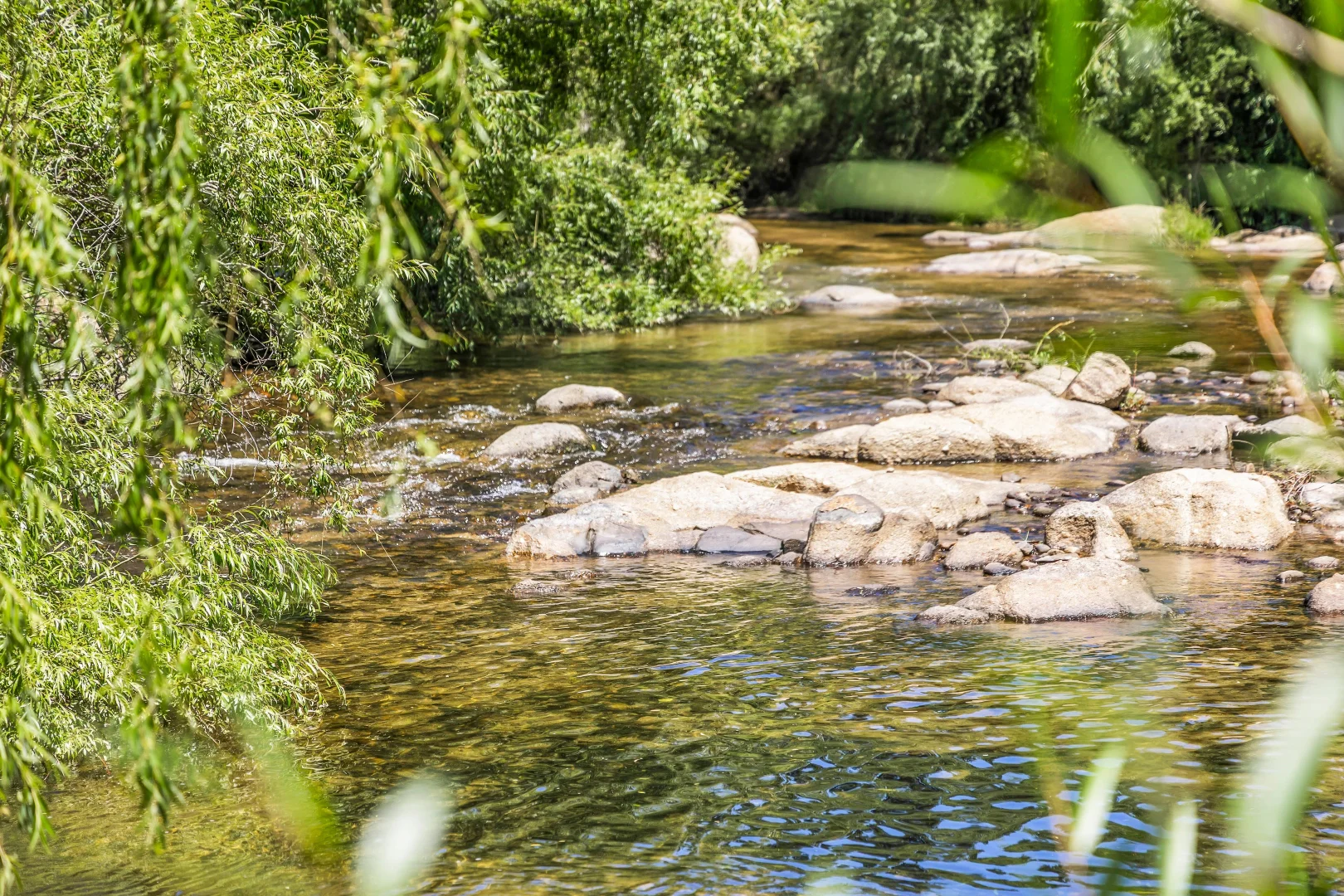 Additional image 29 of 388 Candelo-Bega Road, Kanoona NSW 2550