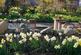 Additional image 29 of Pink House, Cardurnock, Kirkbride, CA7