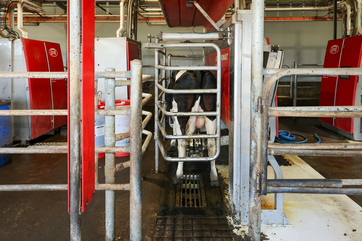 Additional image 14 of 111 Smith Street, Heywood VIC 3304