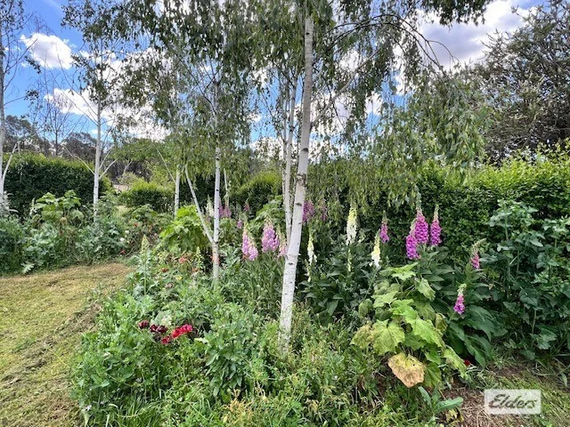 Additional image 16 of 149 Albert Road, Chiltern VIC 3683