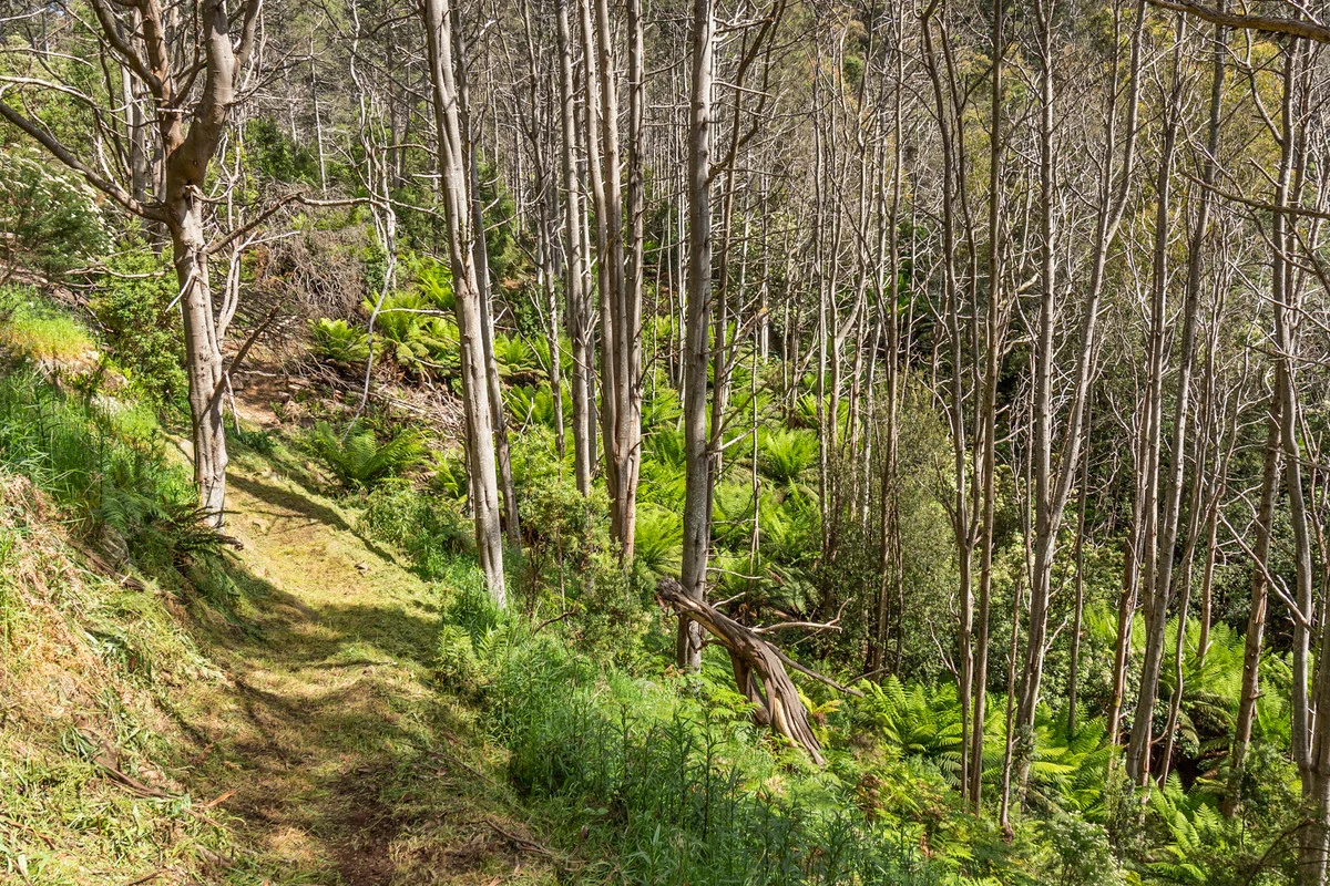 Additional image 11 of 7 Kaoota Road, Kaoota TAS 7150