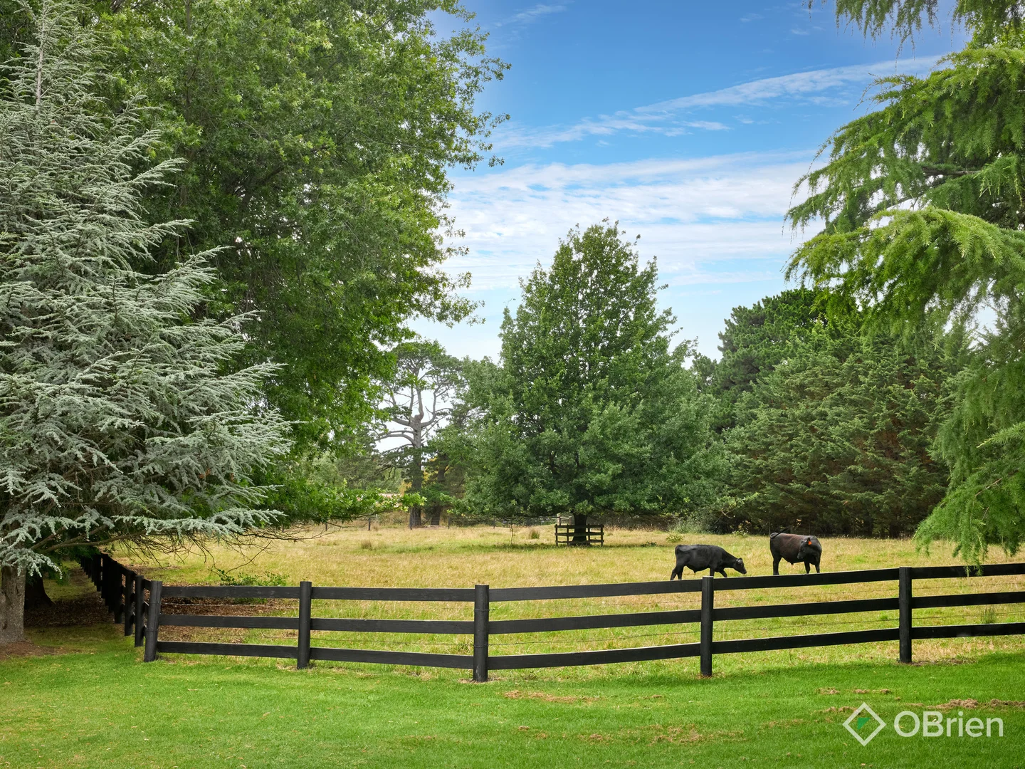 Additional image 19 of 30 Mont Albert Road, Garfield VIC 3814