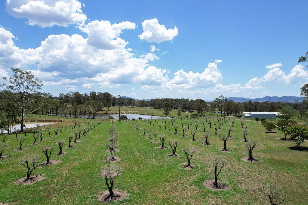 Additional image 31 of 61 Crowthers Road, Gloucester NSW 2422