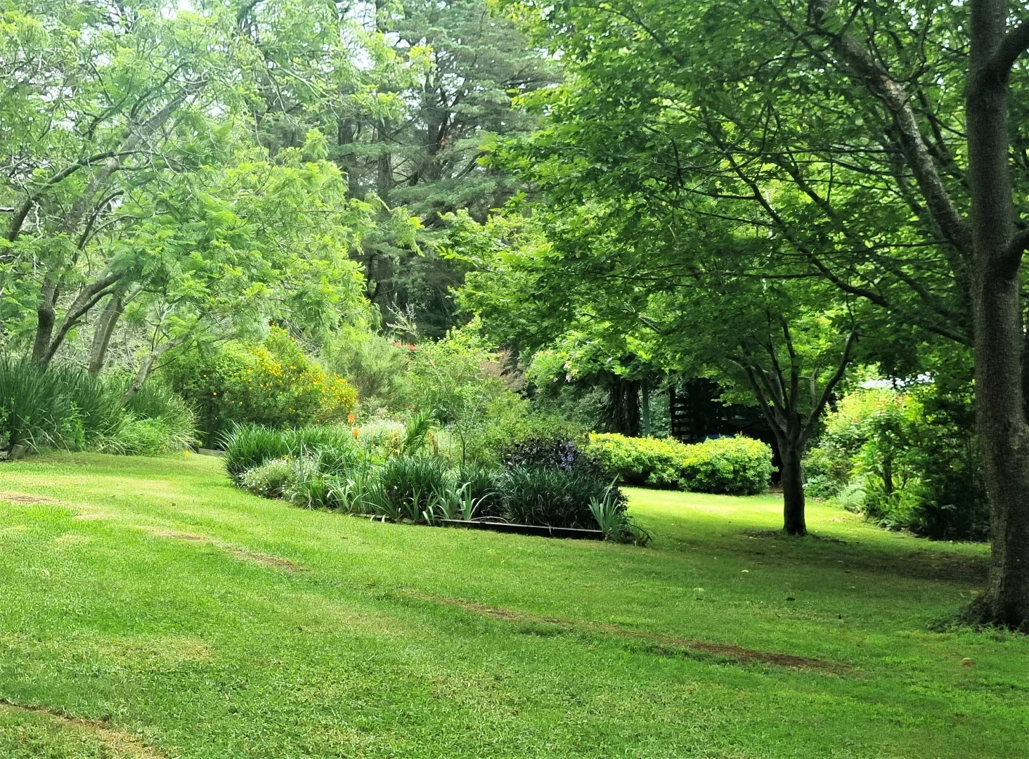 Additional image 8 of 1045 Old Hume Hwy, Alpine NSW 2575