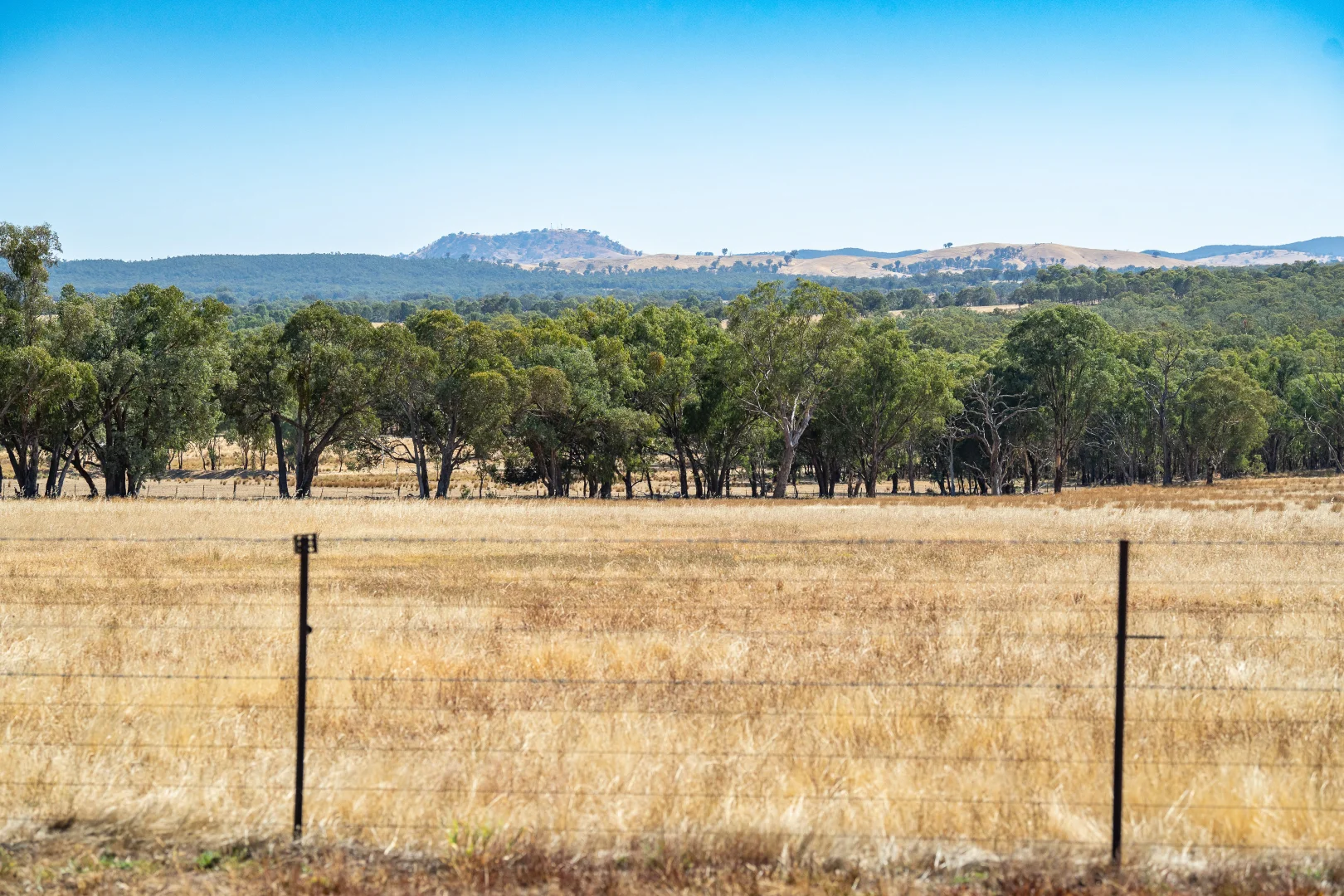 Additional image 18 of 175 Toveys Road, Chiltern VIC 3683