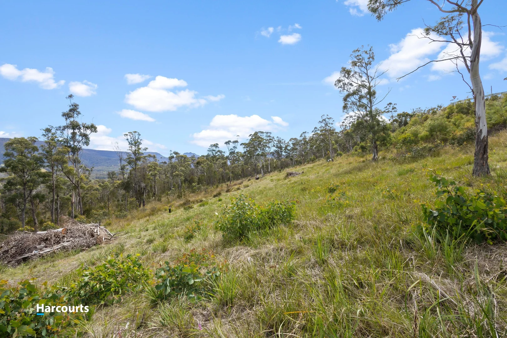 Additional image 6 of 41 Grovenor Rise, Grove TAS 7109