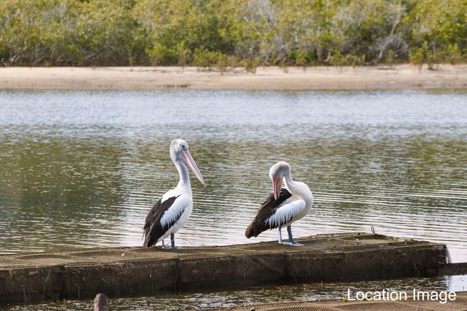 Additional image 12 of 8 Gaduying Court (Lot 62), Nambucca Heads NSW 2448