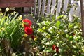 Additional image 76 of 126 Center St, Jackson, CA, 95642