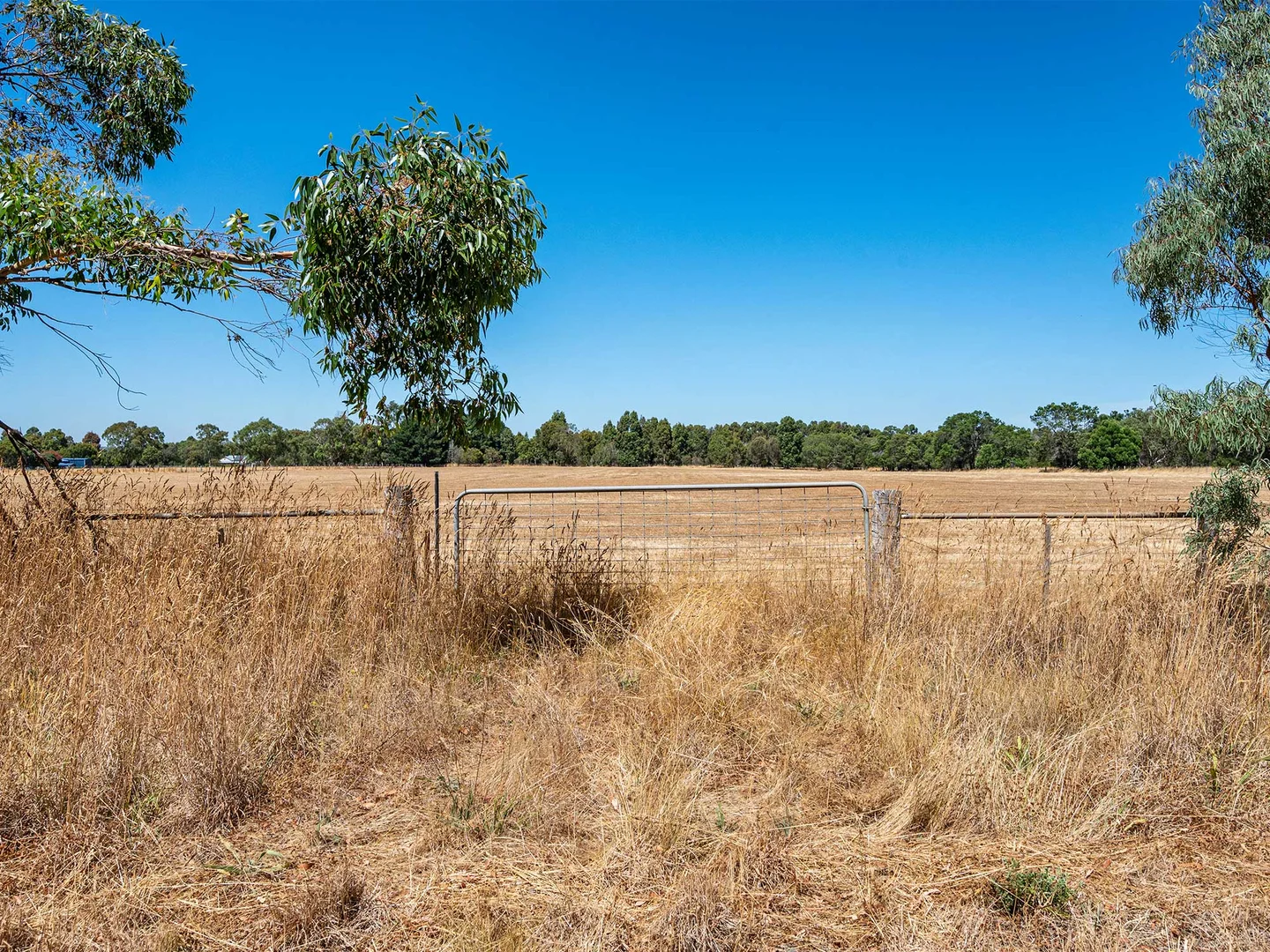 Additional image 6 of 42 Beveridges Road, Hamilton VIC 3300