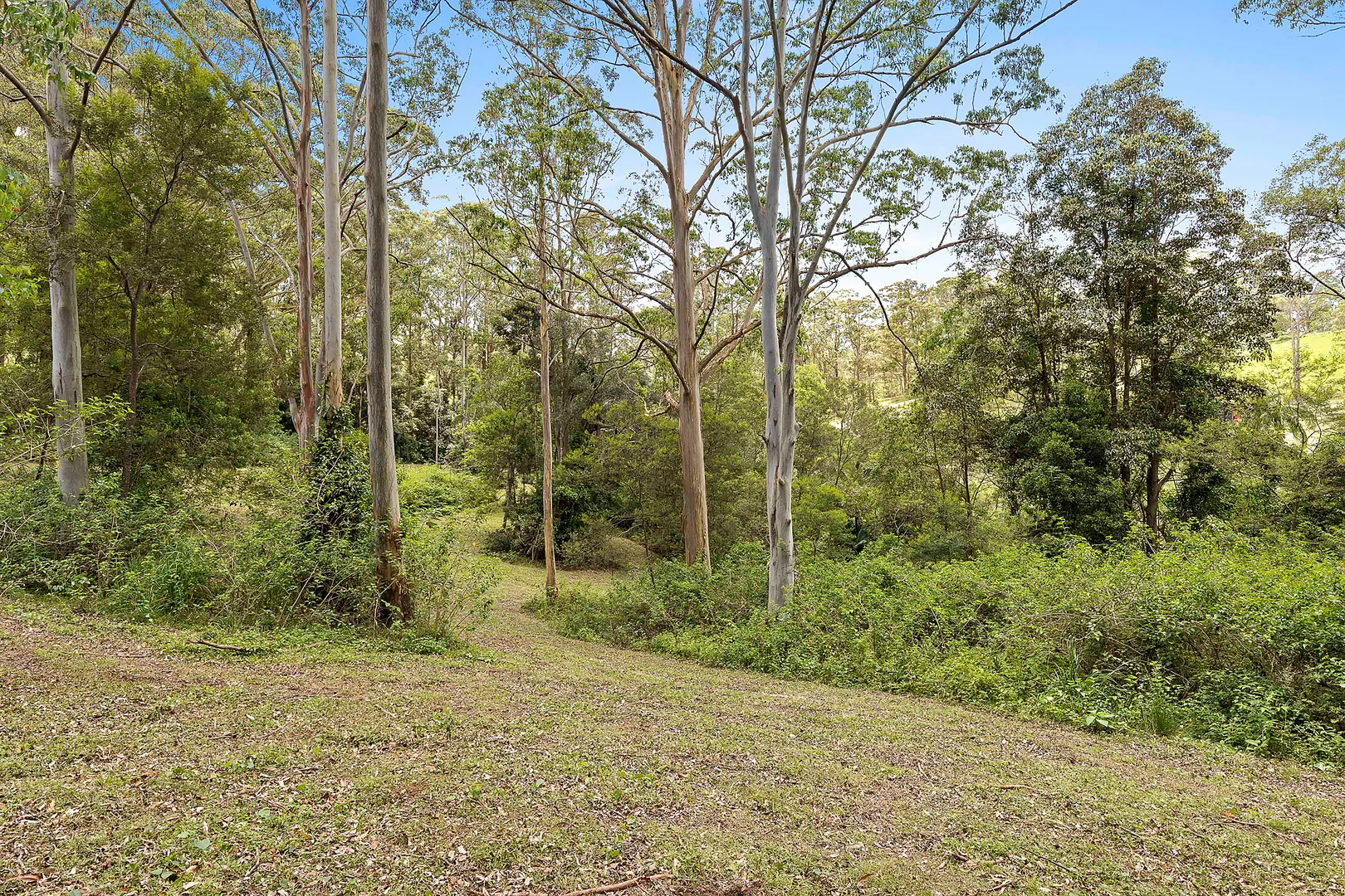 Additional image 31 of 55-105 Brodie Road, Mount Mee QLD 4521