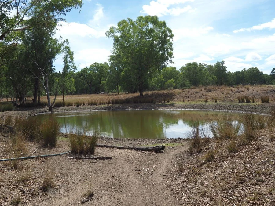 Additional image 10 of 288 Fairford Road, Warialda NSW 2402