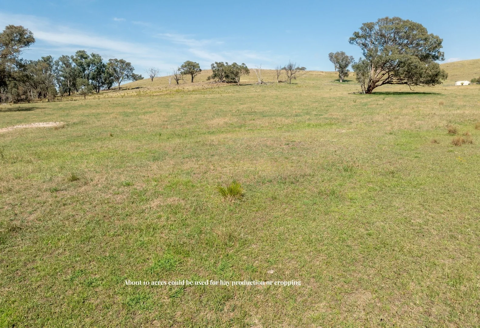 Additional image 30 of 'Shepherds Rest' 4535 Burrendong Way, Euchareena NSW 2866