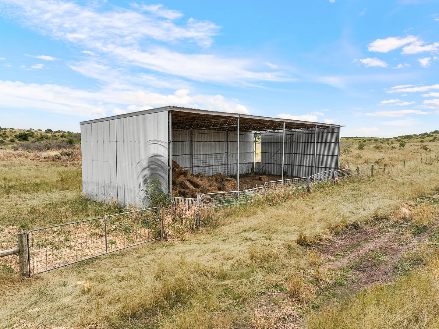 Additional image 4 of Dreeite VIC 3249