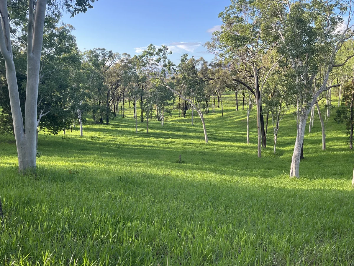 Additional image 4 of 23608 Peak Downs Highway, Eton QLD 4741