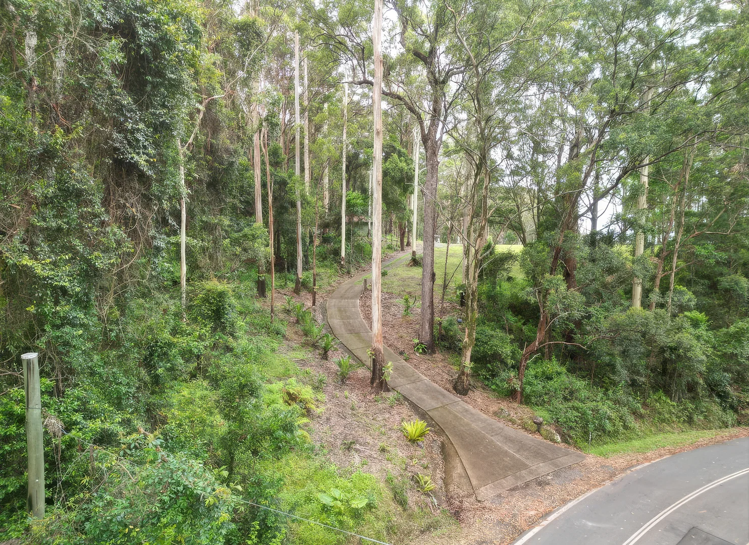 Additional image 3 of 1806 Gold Coast Springbrook Road, Springbrook QLD 4213