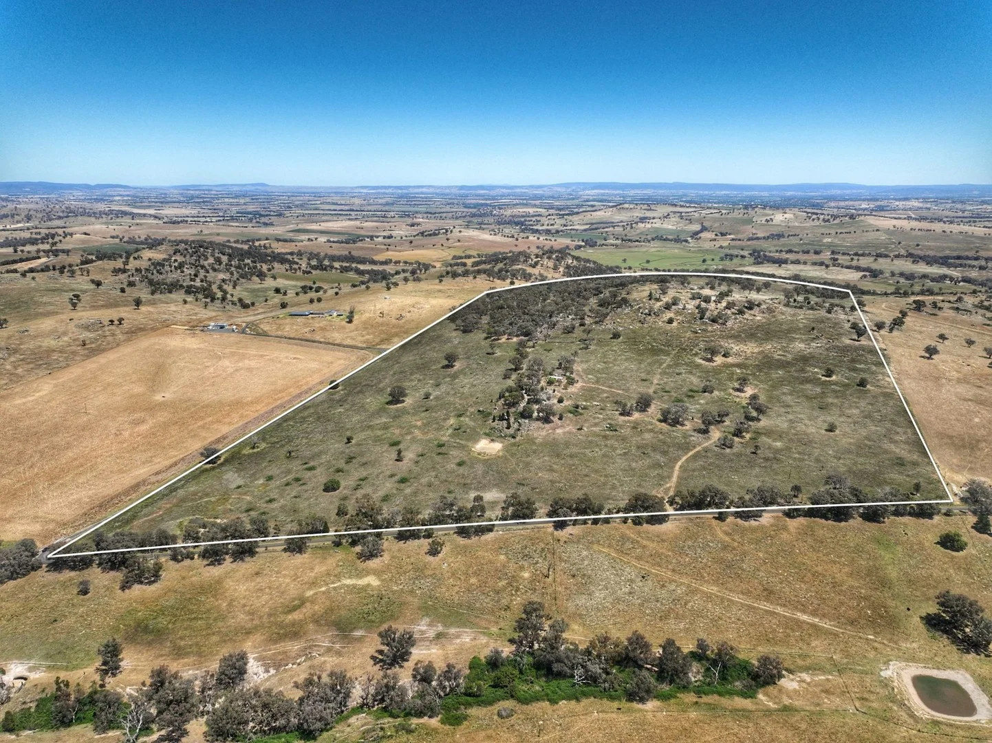 1294 Pine Mount Road, Woodstock NSW 2793