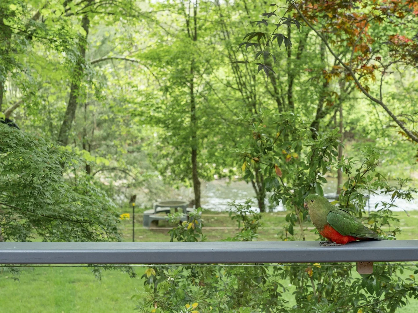 4124 Mansfield-Woods Point Road, Jamieson VIC 3723